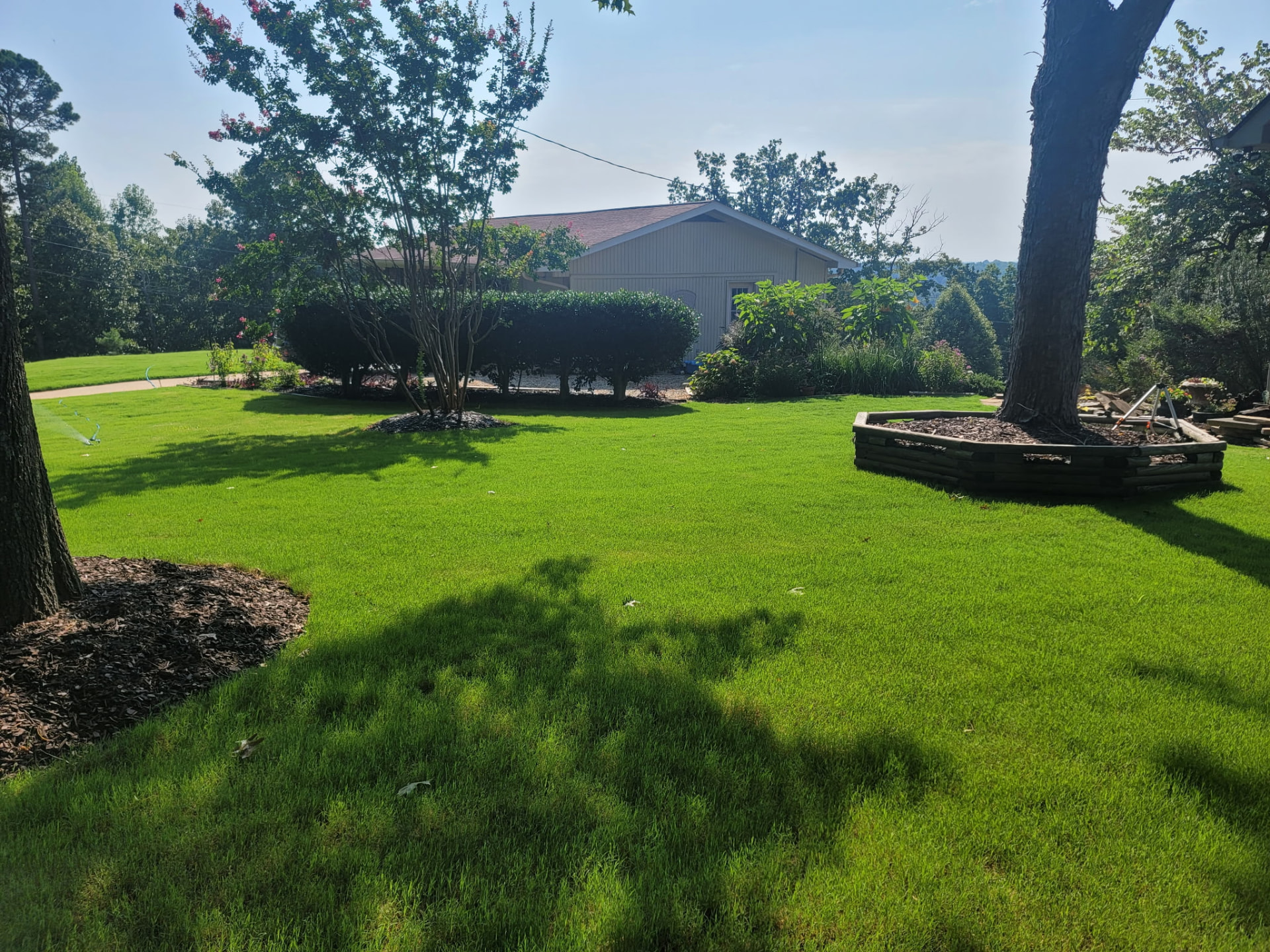 T.E. Lawn Service and Clean Up tree service work