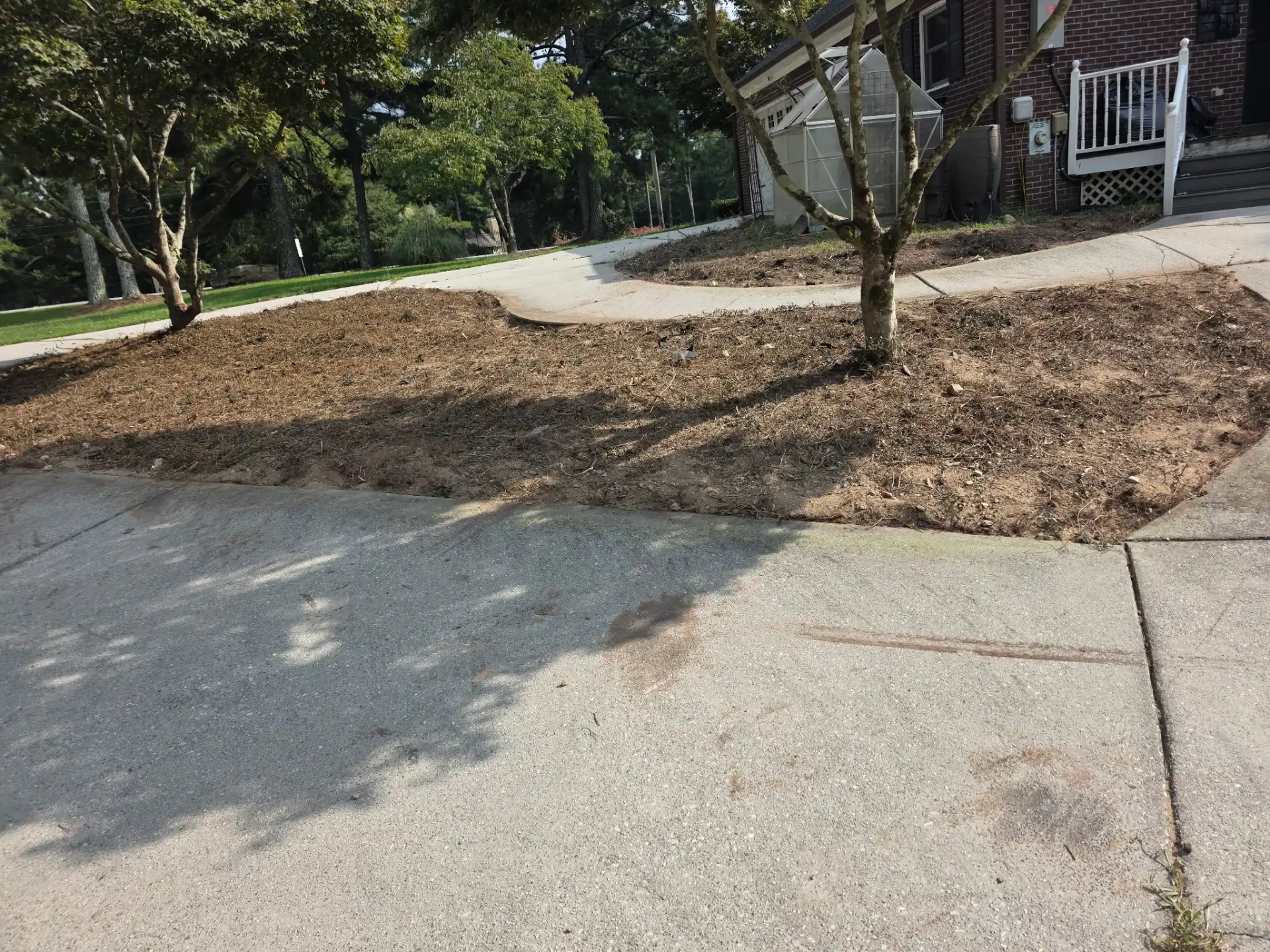 Hedge Removal Gwinnett County