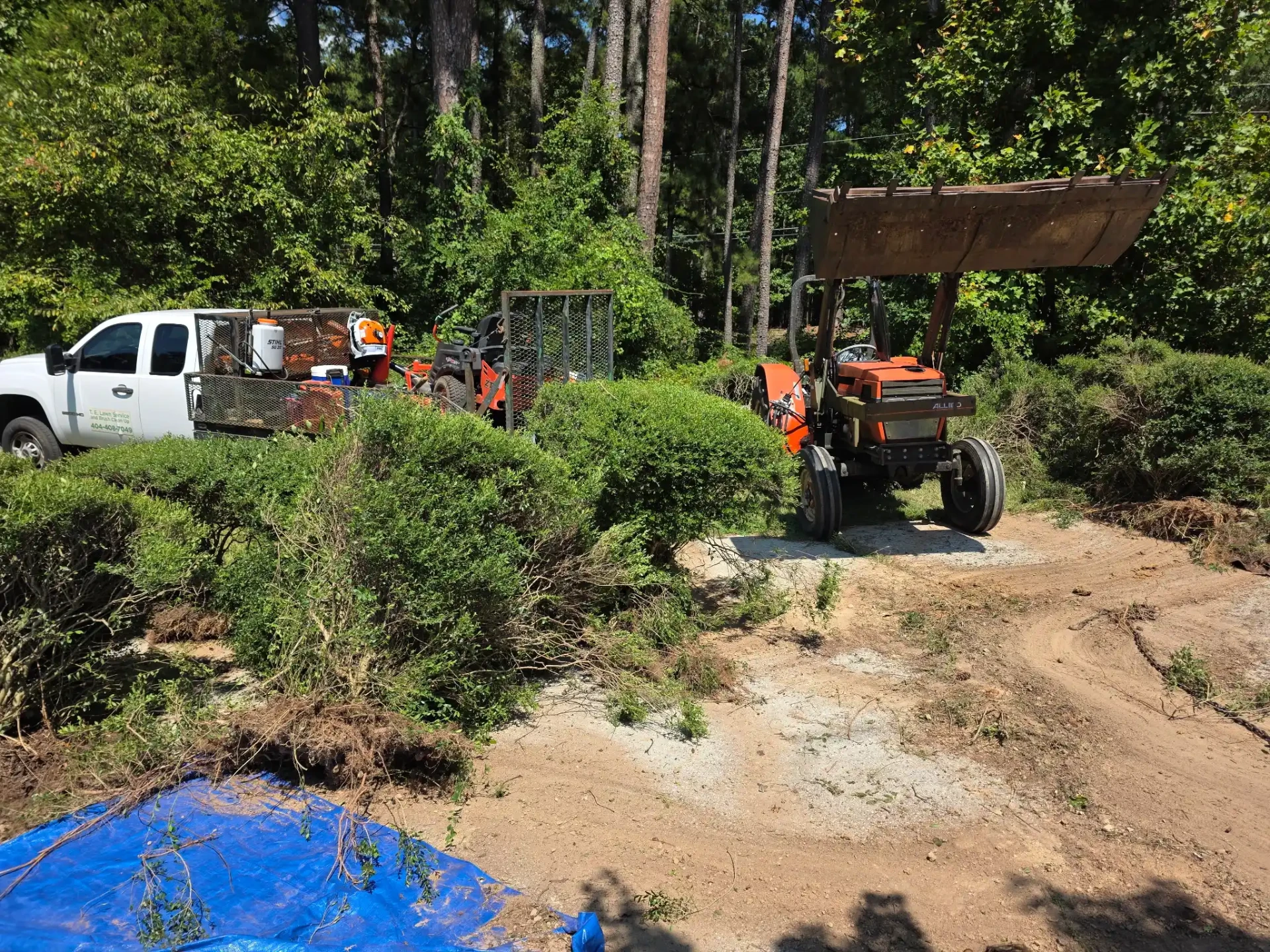 Ground Clean up Gwinnett