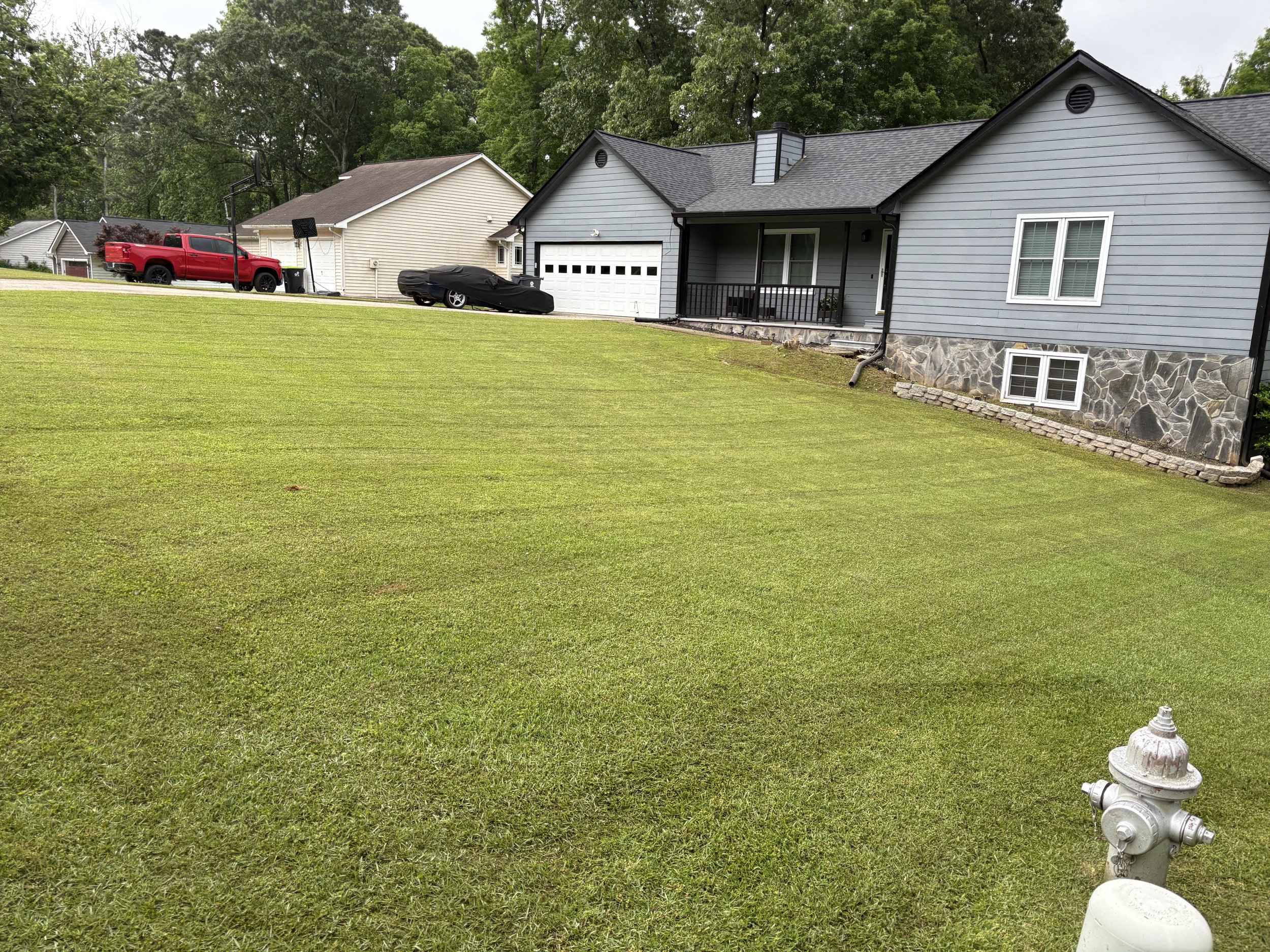 Hedgecoth Property Solutions tree service work