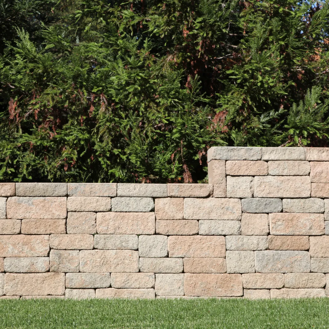 Premium Tree & Shrub tree service work