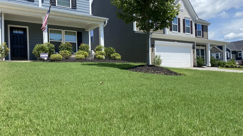 Turf Masters Lawn Care of Roswell tree service work