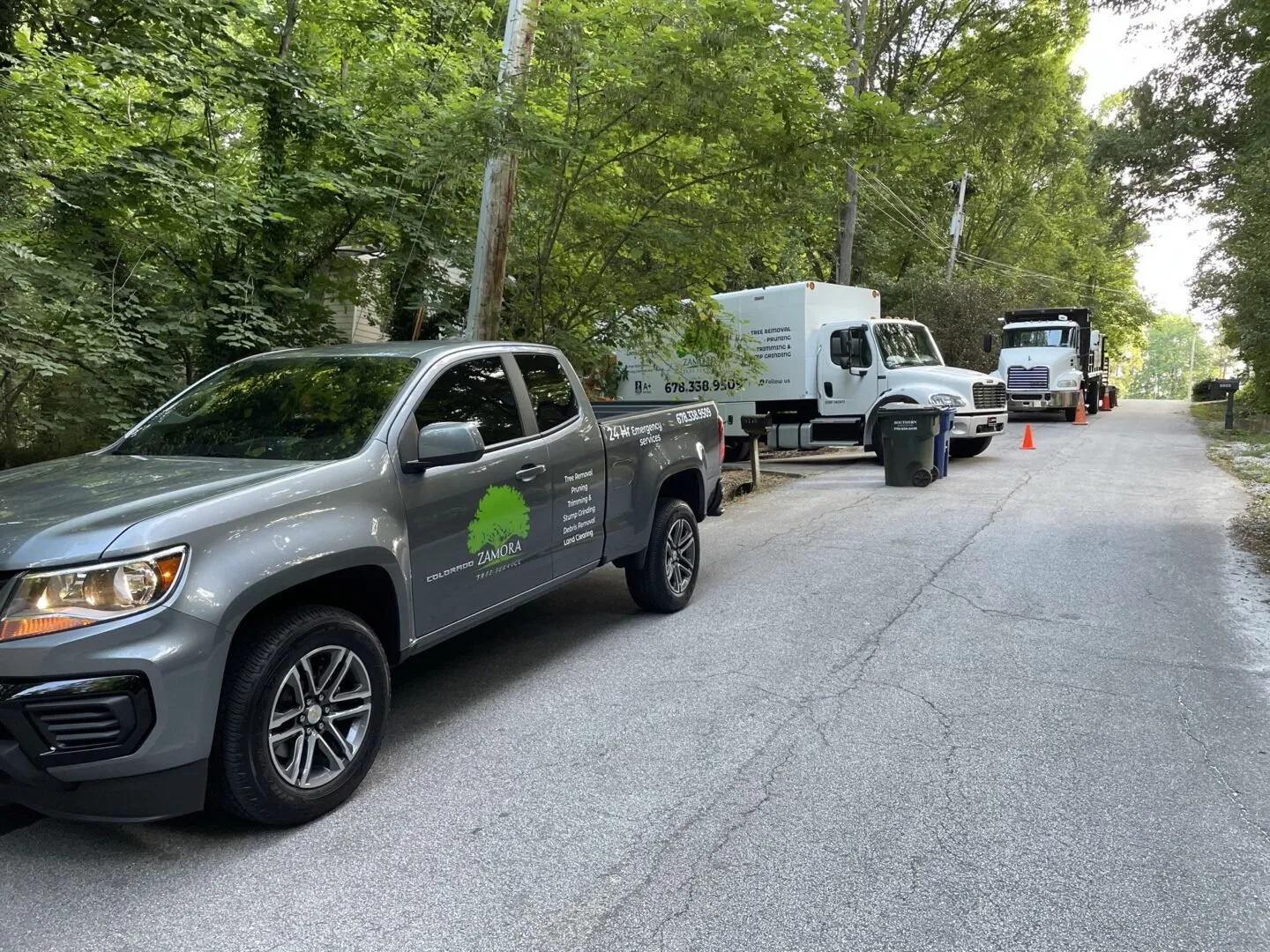 Zamora Tree Services Gallery