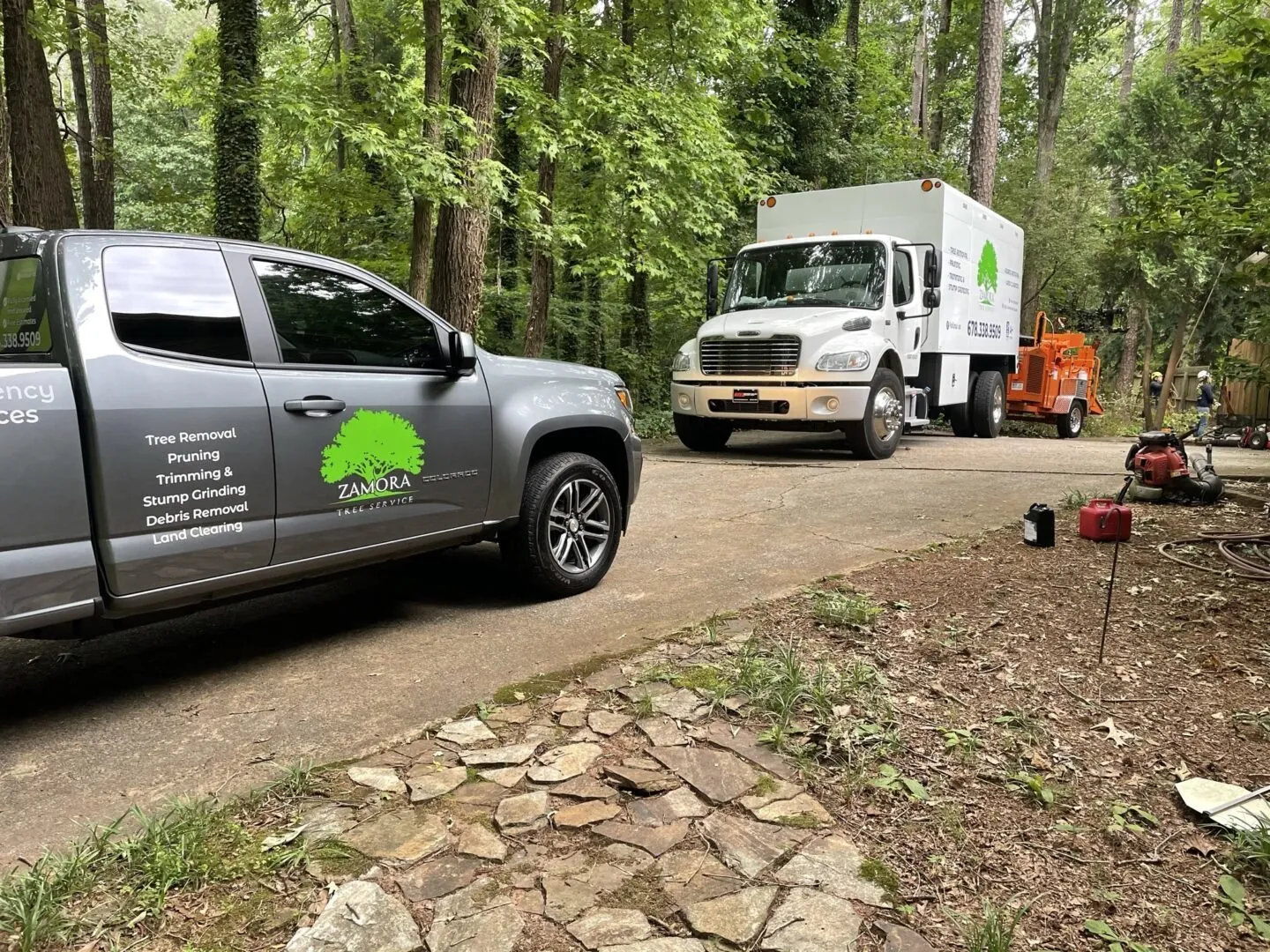 Zamora Tree Services Gallery