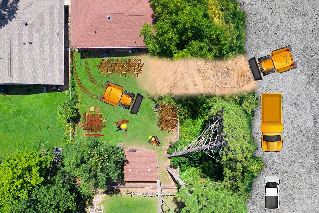Atlanta Tree Services tree service work