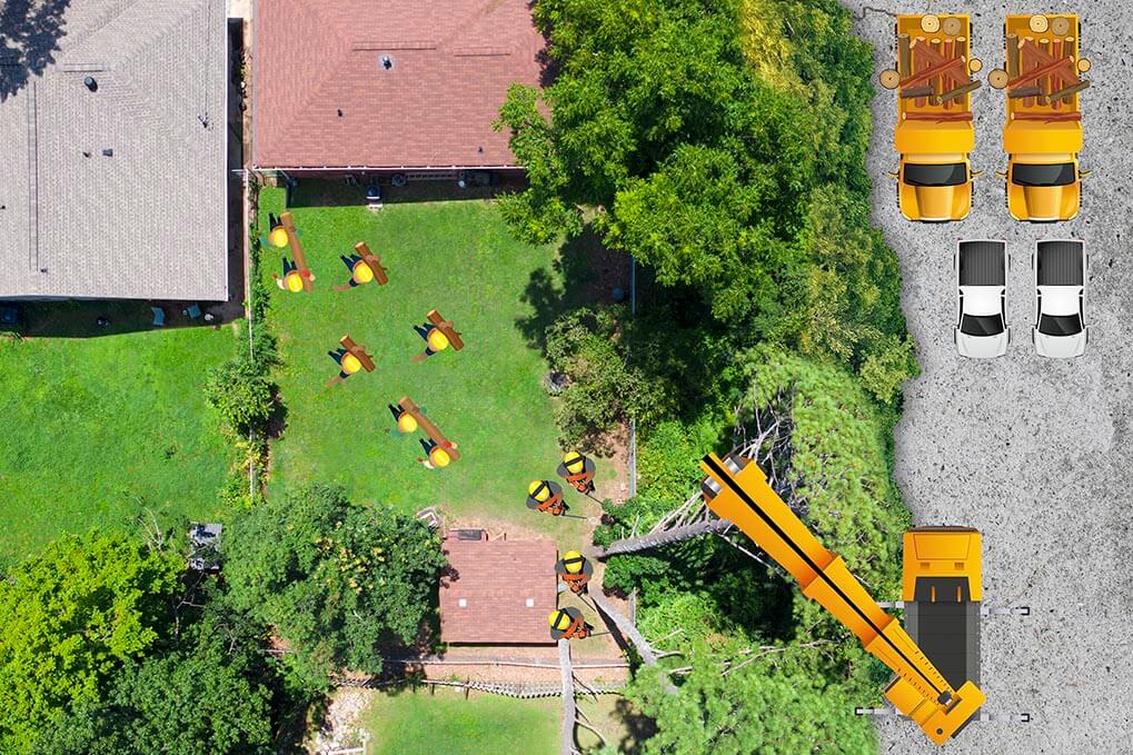 Atlanta Tree Services tree service work