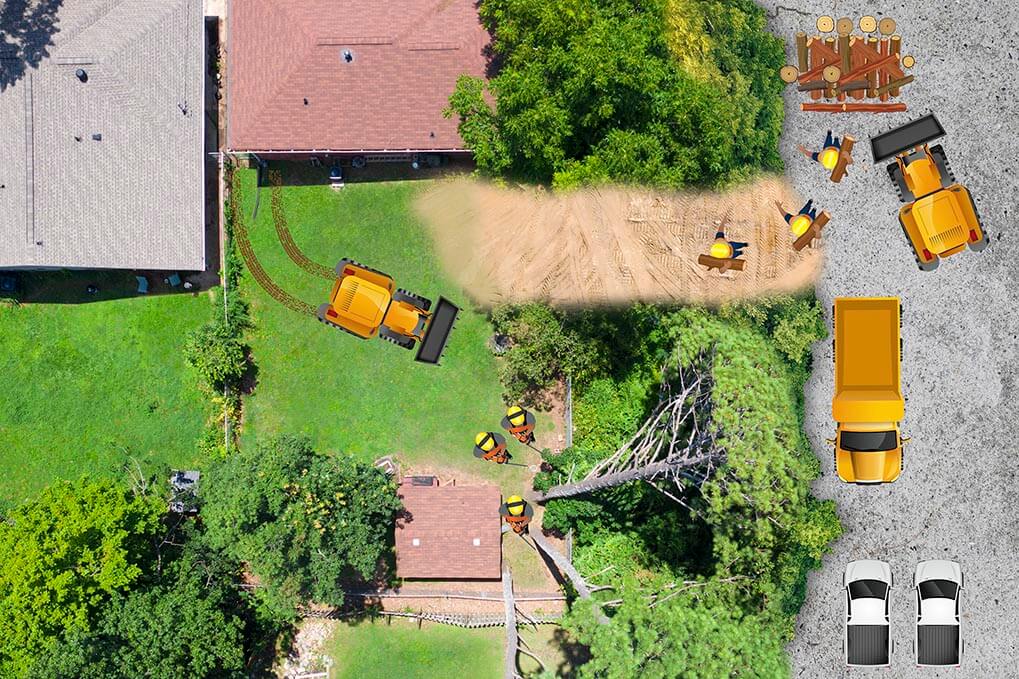 Atlanta Tree Services tree service work