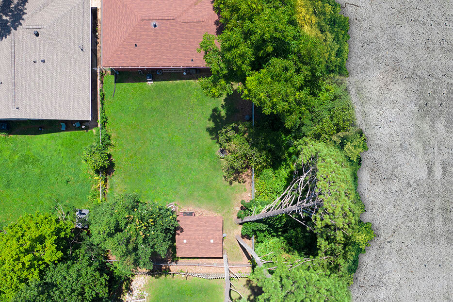 Photo of Atlanta Tree Services