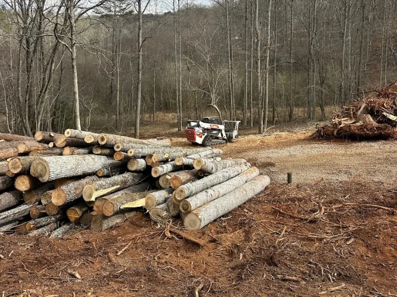 Forestry Grinding