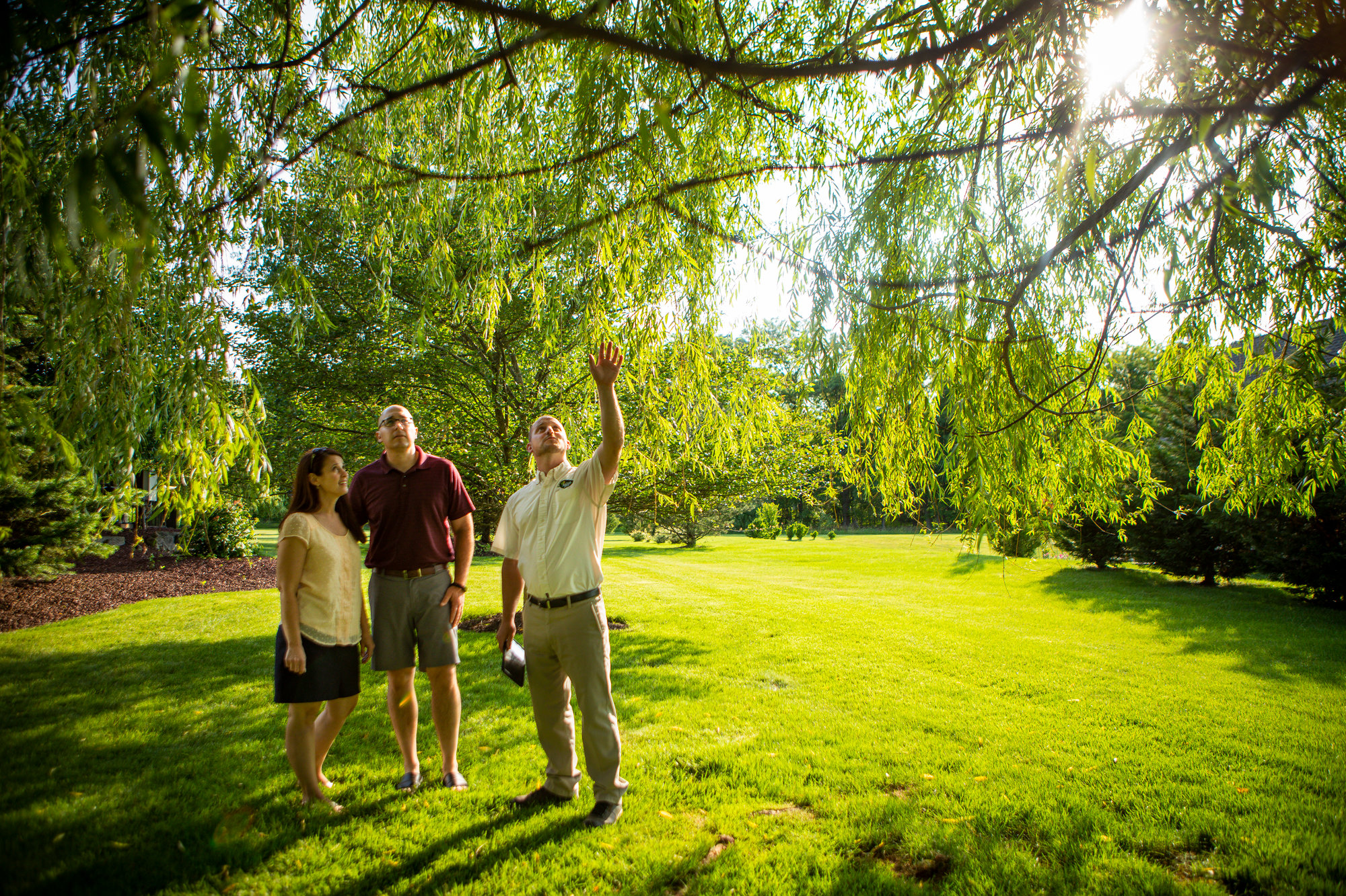 Joshua Tree Experts tree service work