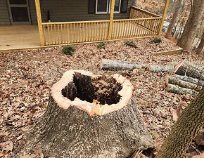 STUMP%20GRINDING