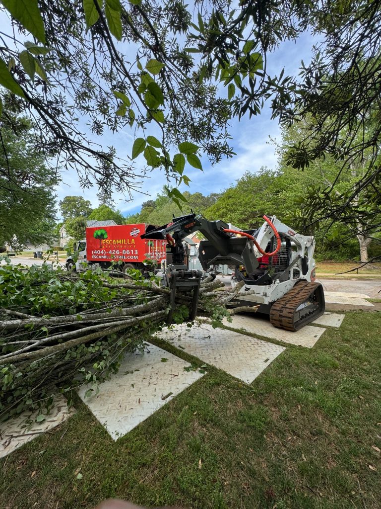 Escamilla Tree Service - Emergency Tree Removal tree service work