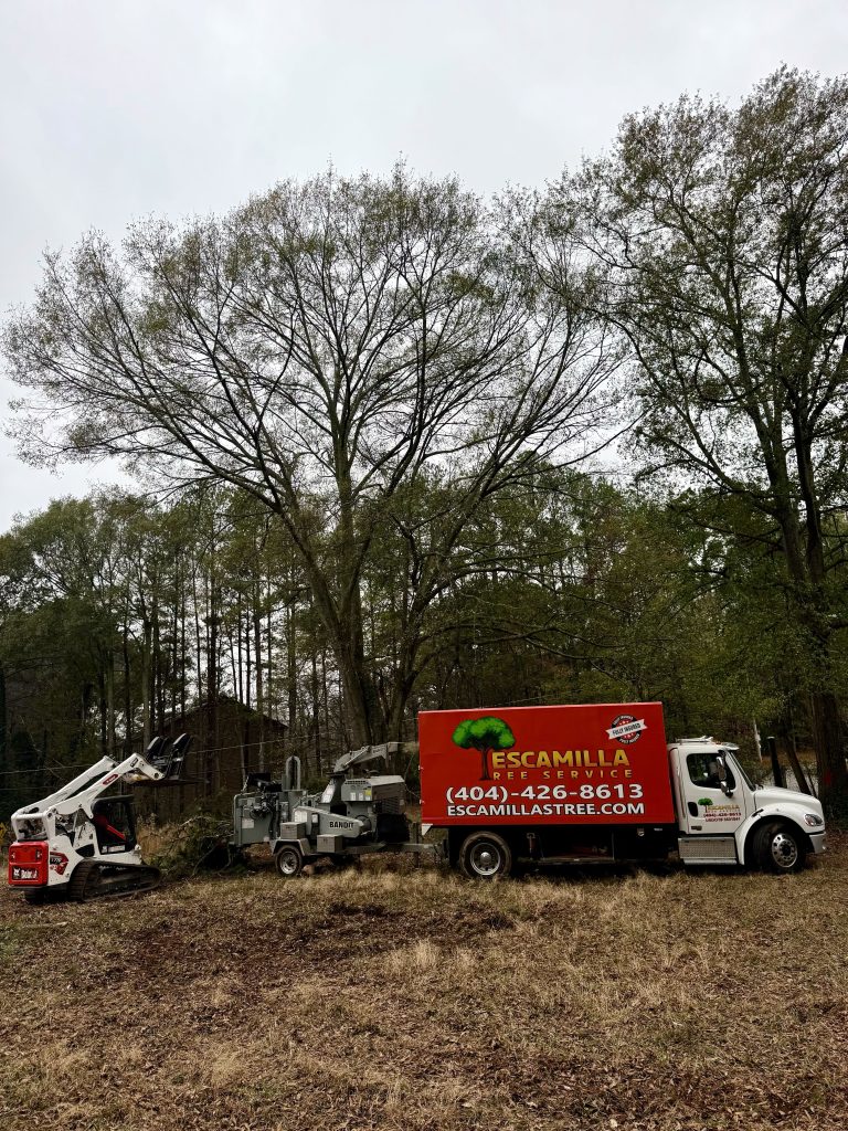 Escamilla Tree Service - Emergency Tree Removal tree service work