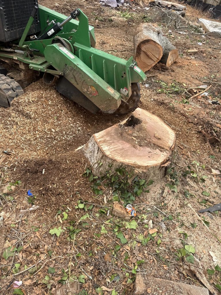 Escamilla Tree Service - Emergency Tree Removal tree service work