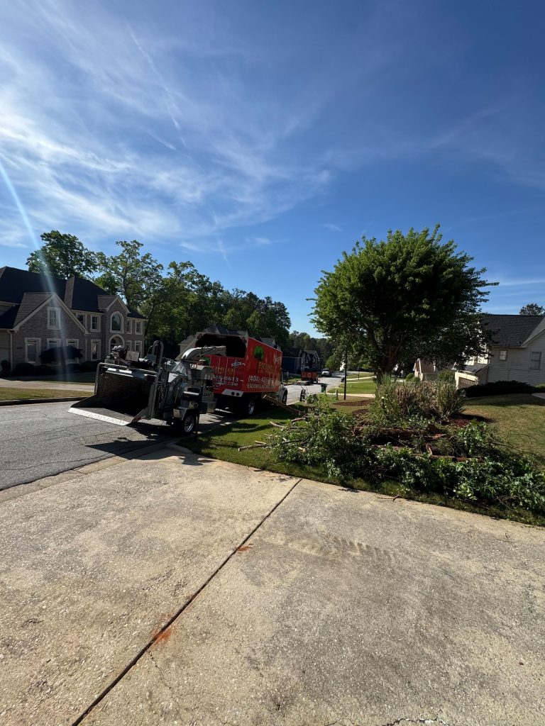 Escamilla Tree Service - Emergency Tree Removal tree service work