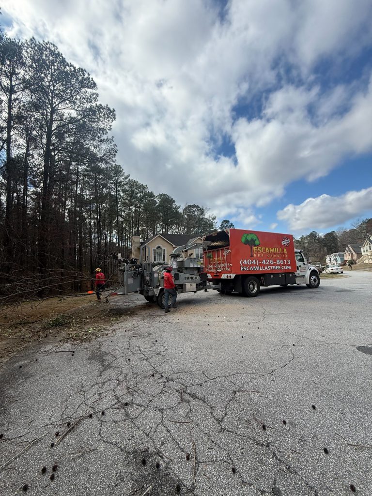 Escamilla Tree Service - Emergency Tree Removal tree service work