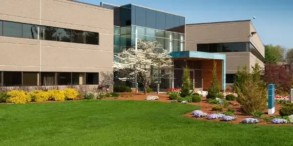 Lawn care service summary