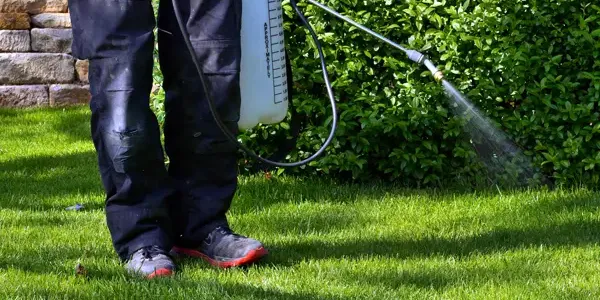 Photo of Unlimited Lawn Care