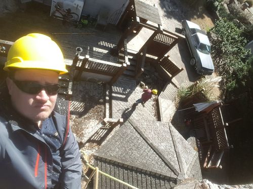 Tree service georgia cumming fulton county 498w