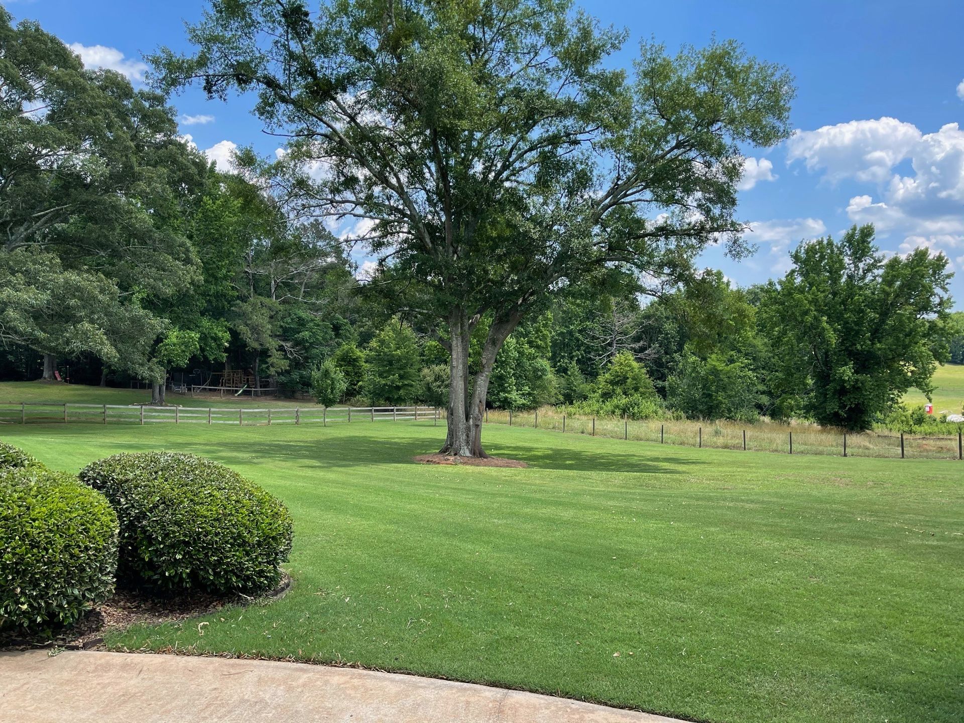 Yellow River Landscaping tree service work