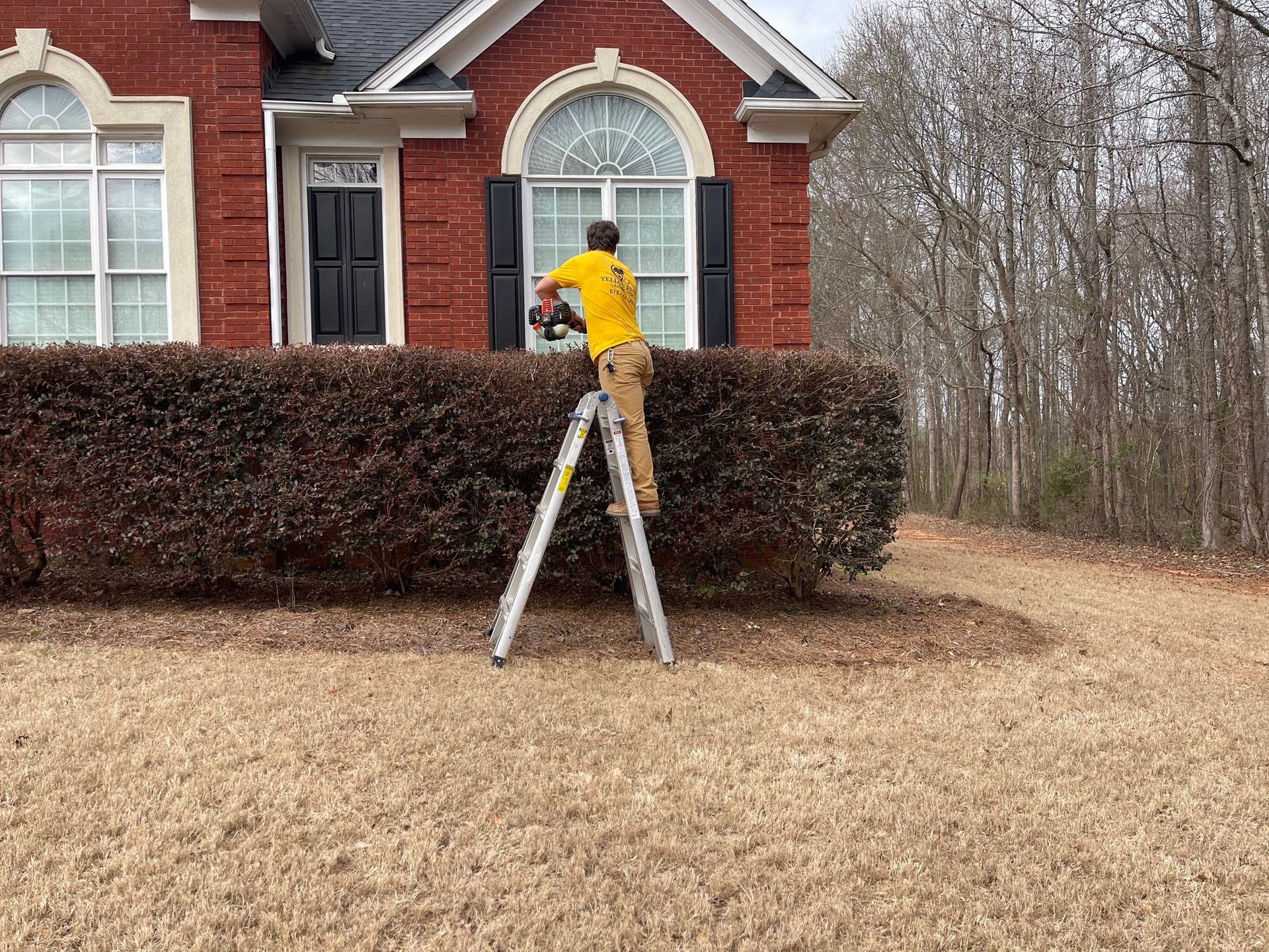 Yellow River Landscaping tree service work