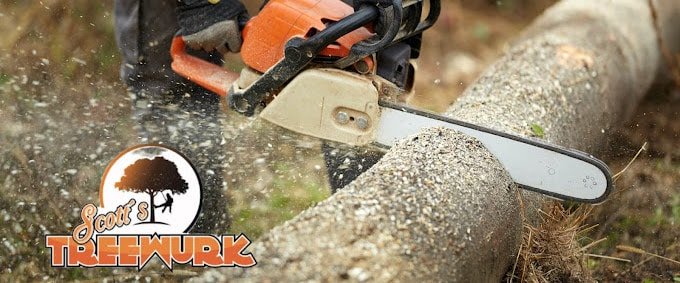 Scott's Treewurk tree service work