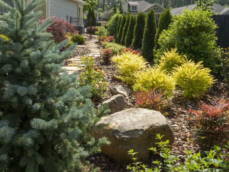 Photo of Pike Nurseries