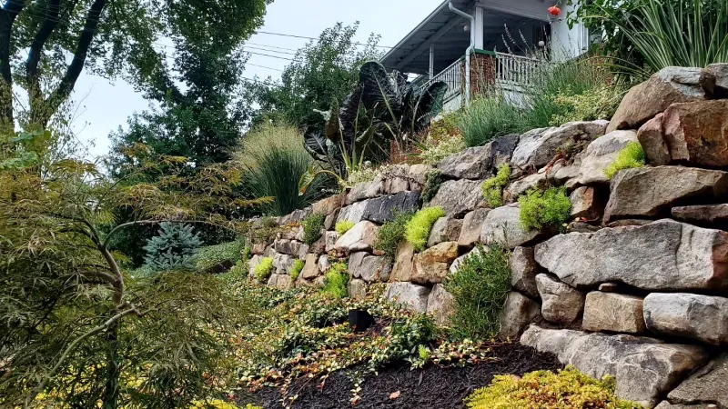 Pike Nurseries tree service work