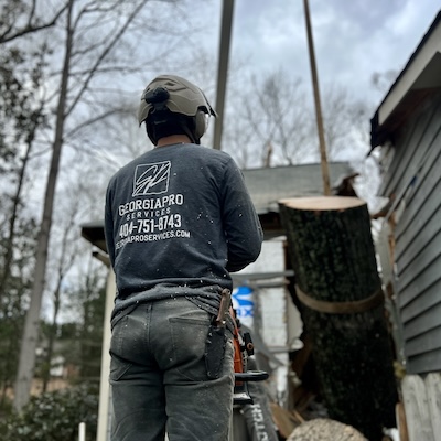 Emergency%20tree%20services