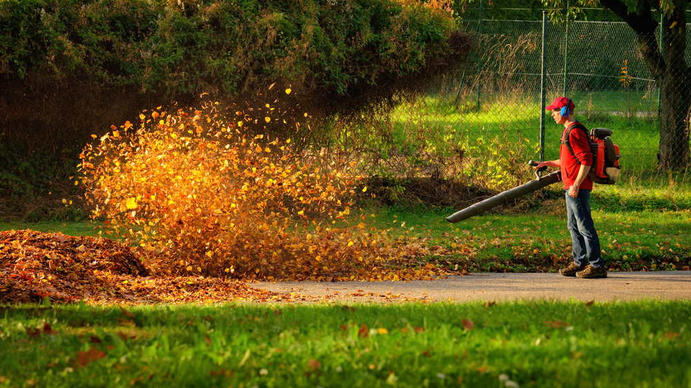 Leaf removal price Marietta