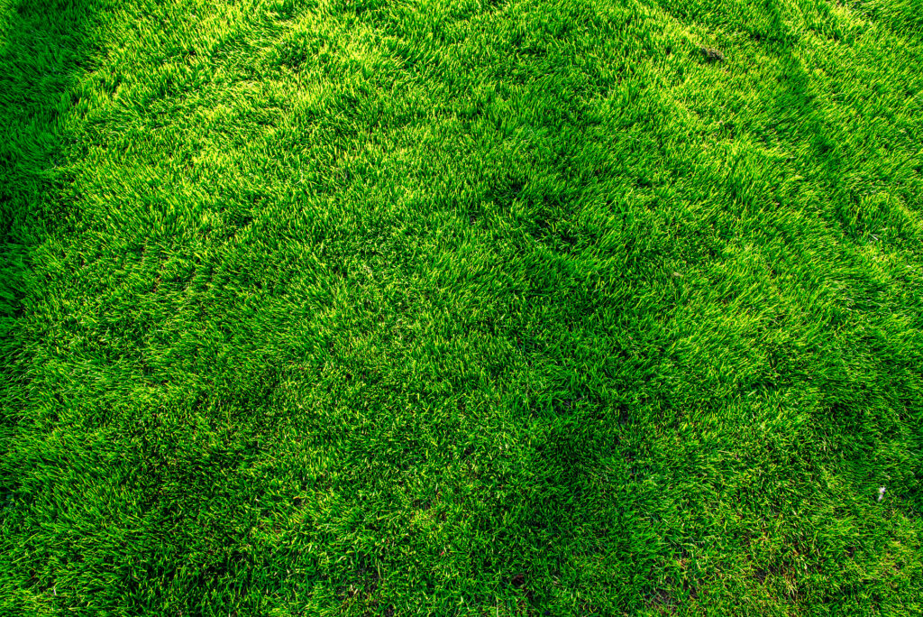 Photo of Peach State Turf Care, Inc.
