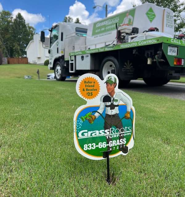 Turf Lawn Care and Weed Control