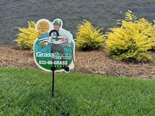Turf weed control services and lawn