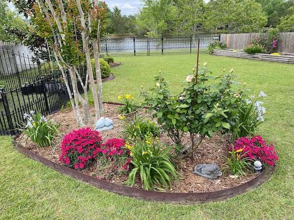 Lawn care tree and shrub care