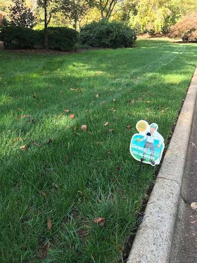 Lawn and Turf Care