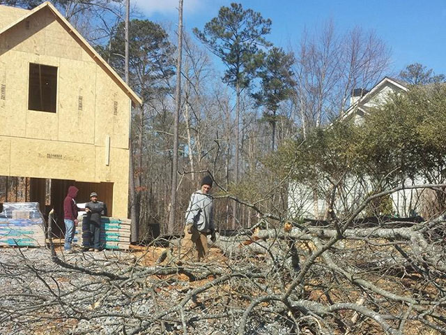 Tylers Tree Services Company in Acworth Marietta Kennesaw