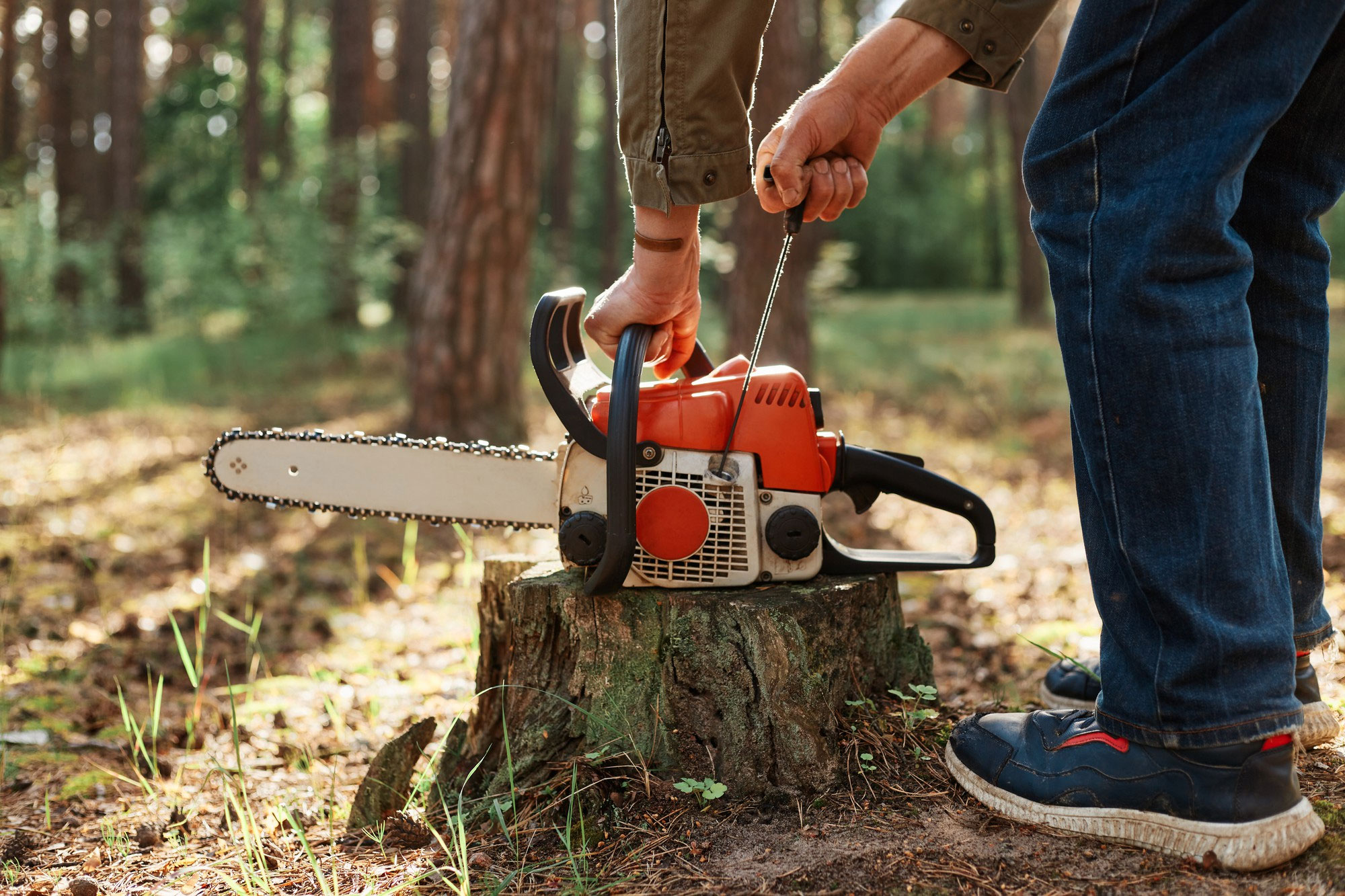 Tylers Tree Services Company