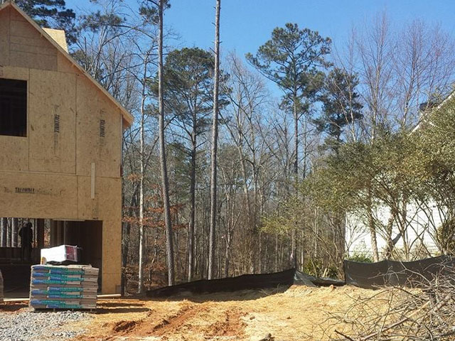 Tylers Tree Services Company in Acworth Marietta Kennesaw