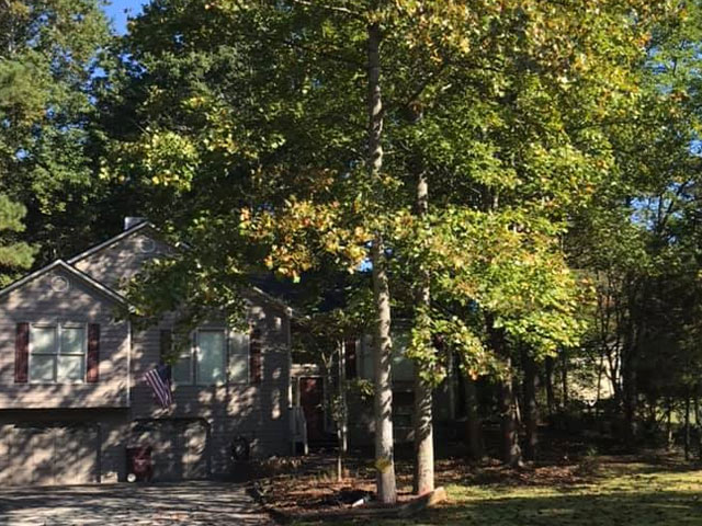 Tylers Tree Services Company in Acworth Marietta Kennesaw
