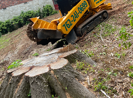 Photo of Summit Stump Grinding