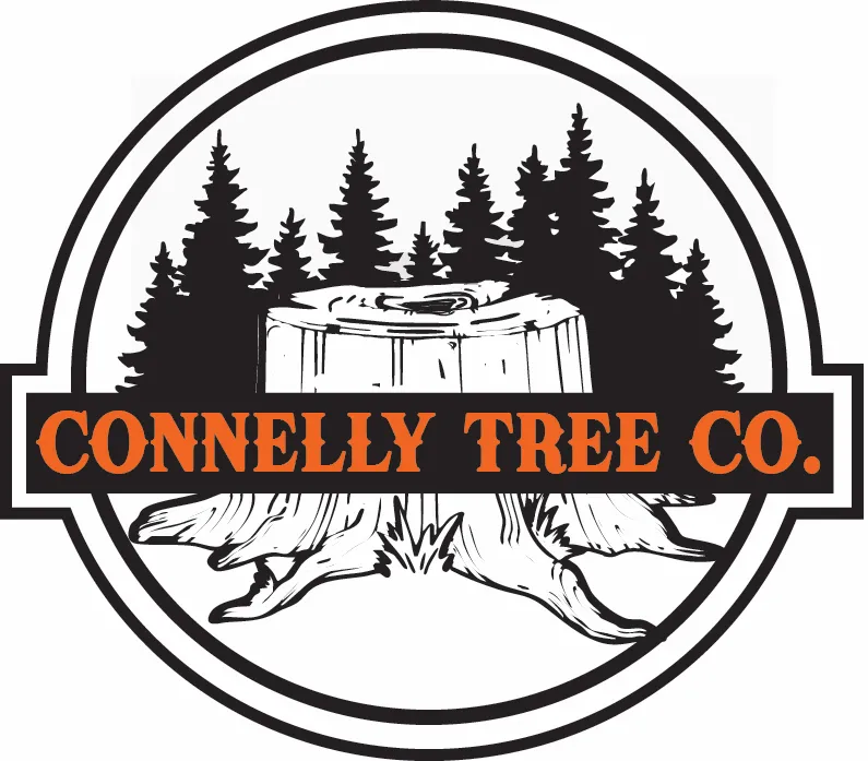 Connelly Tree Company tree service work