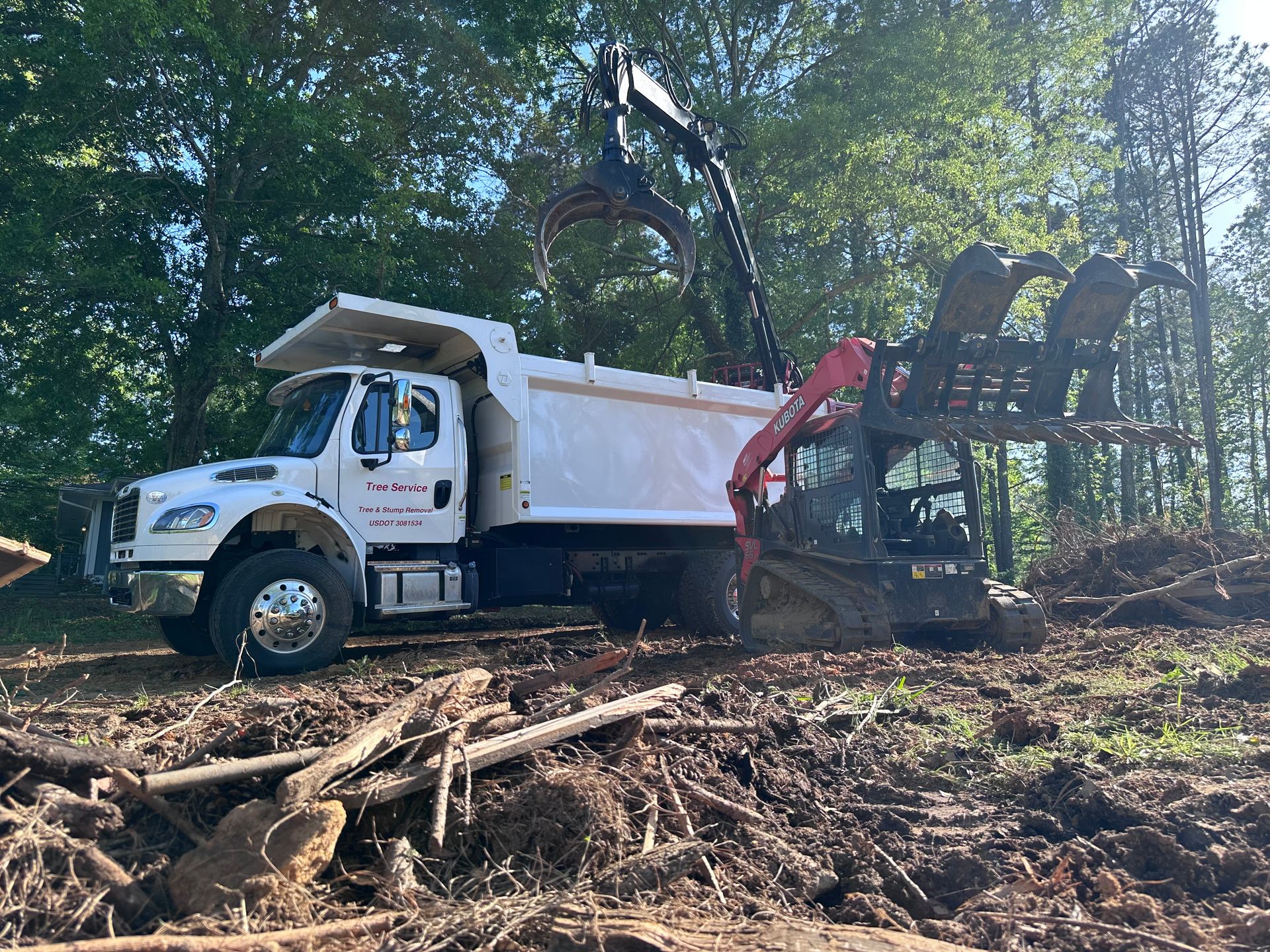 Fellow Tree tree service work