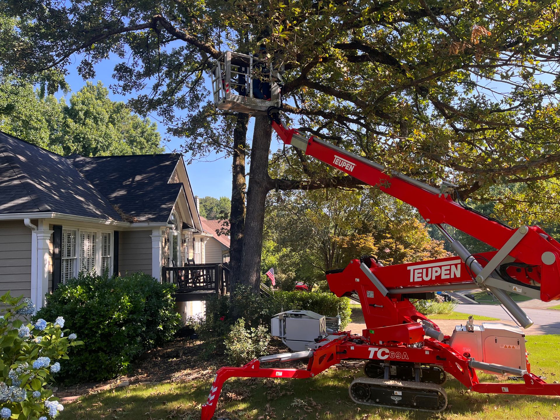 Fellow Tree tree service work