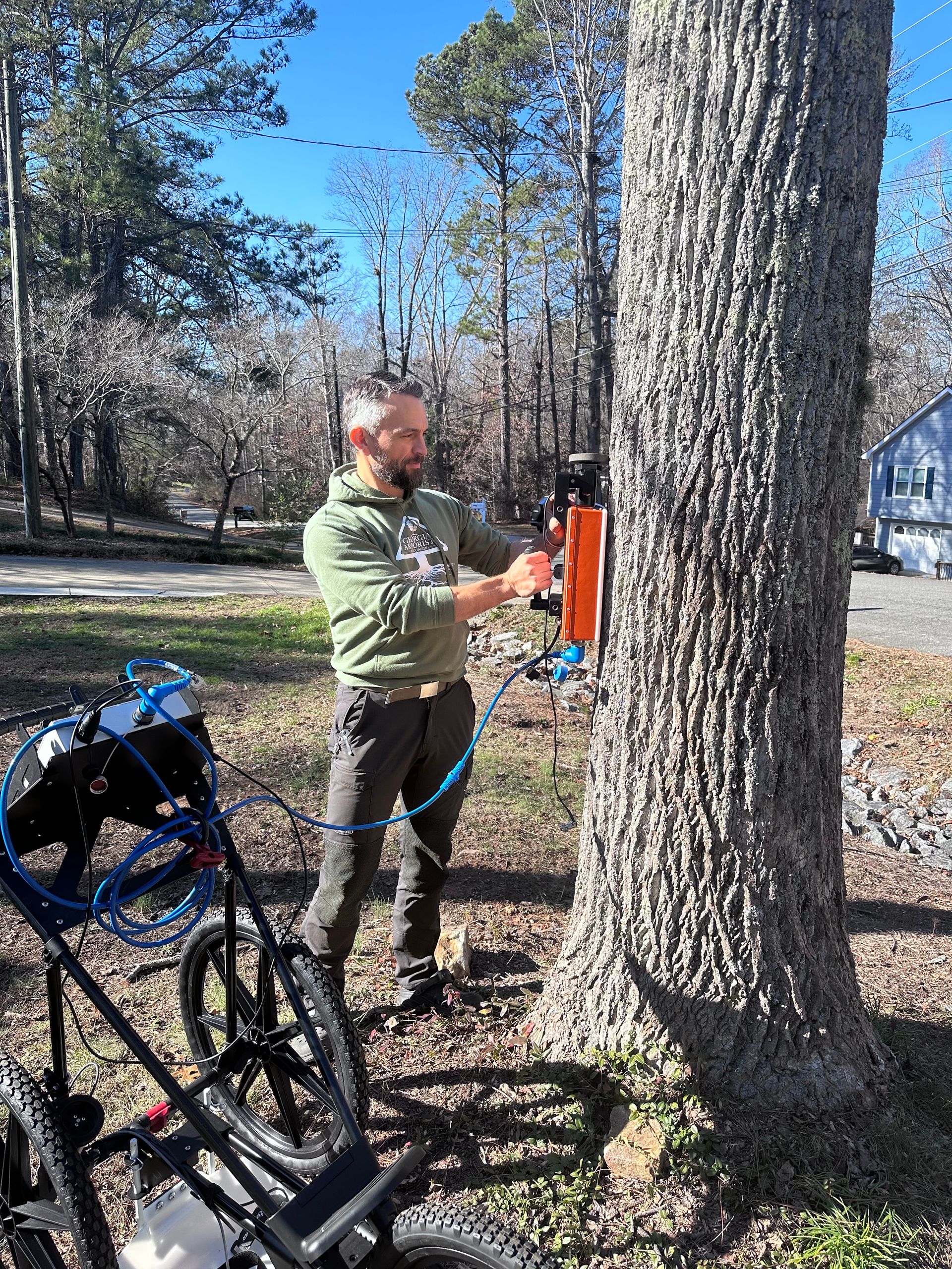 Fellow Tree tree service work