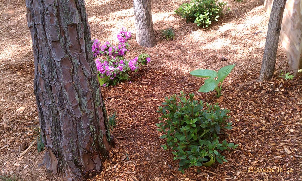 Mulch