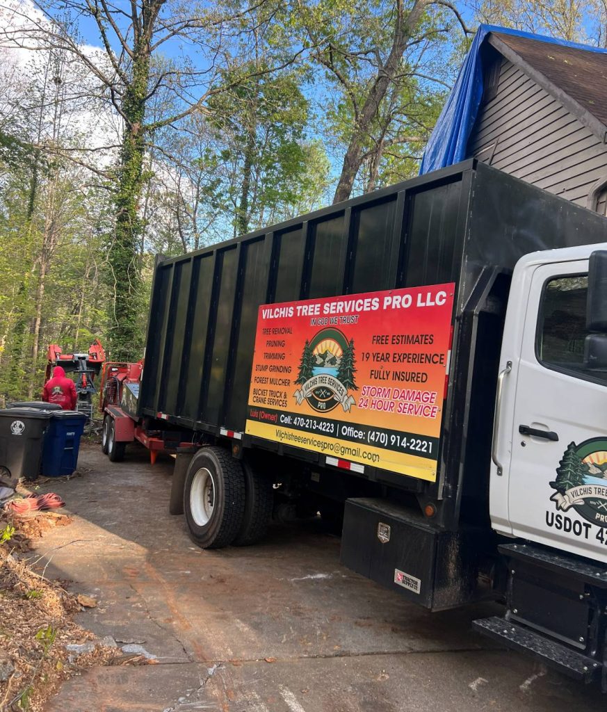 Photo of C and M Tree Services