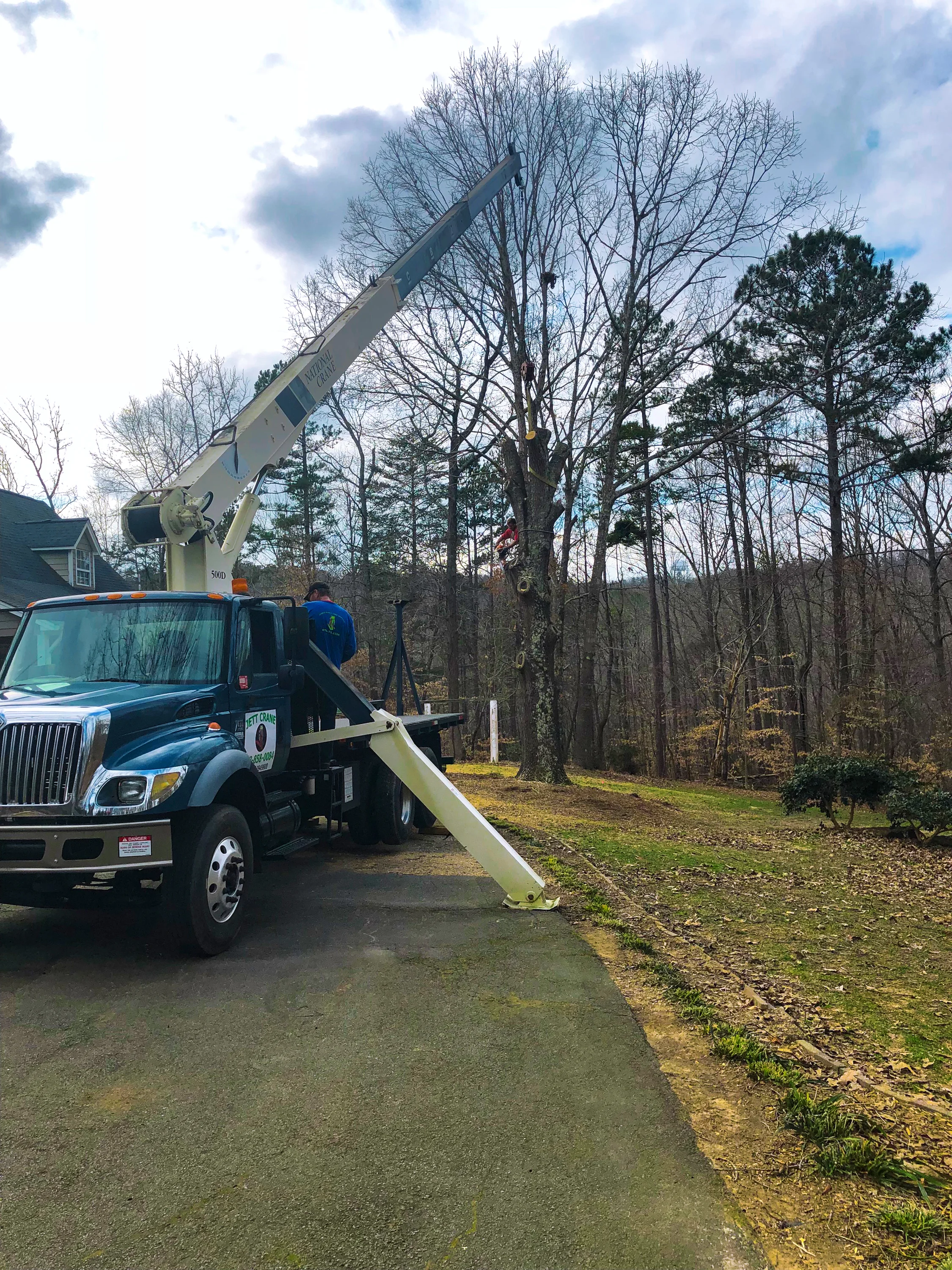 Photo of Jones Tree Service