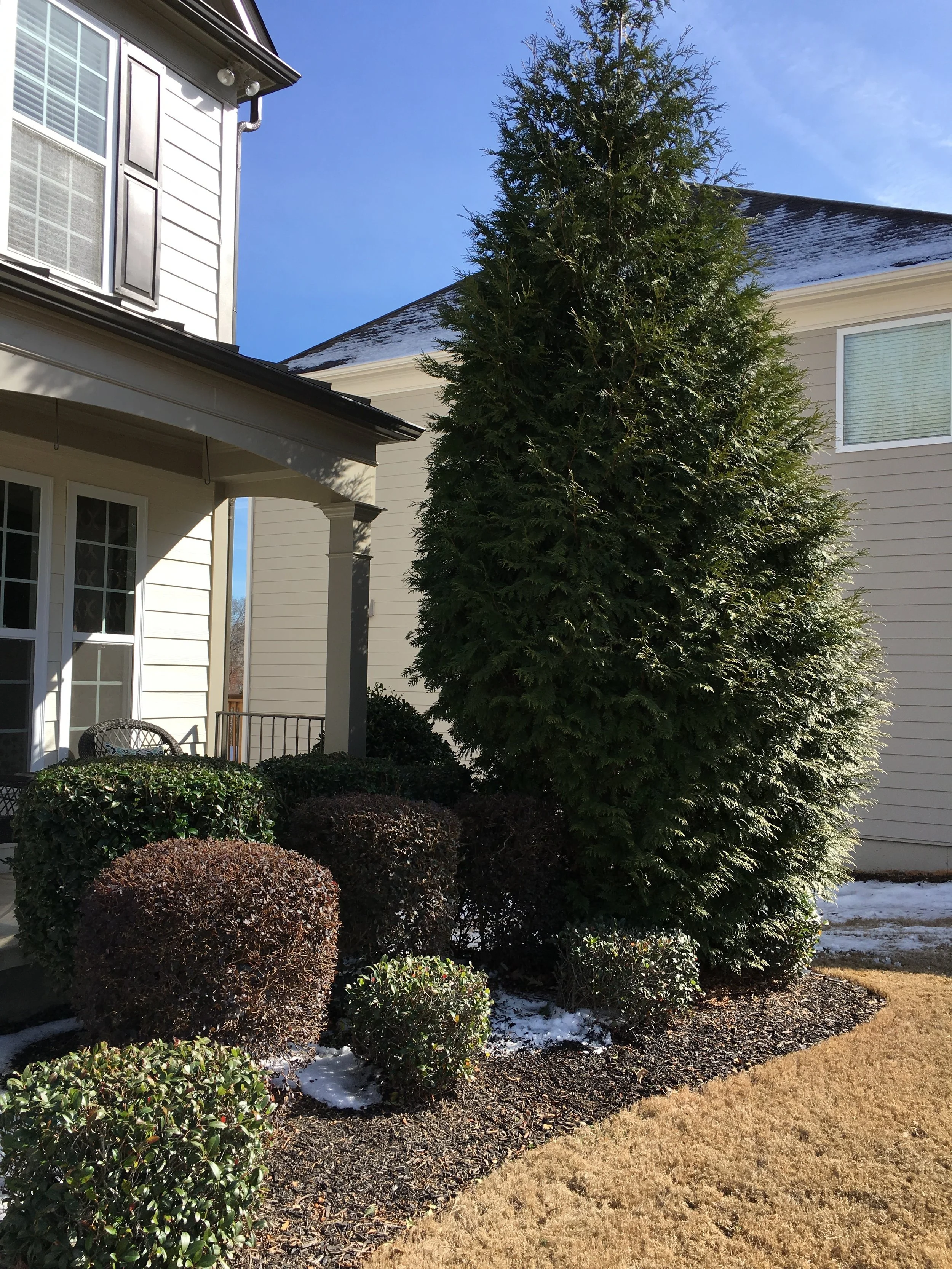 Jones Tree Service tree service work