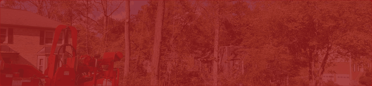 St sec8 r bg