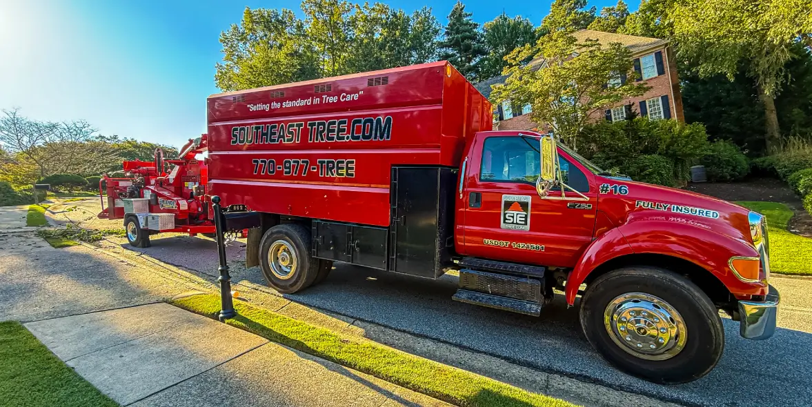 Tree truck no decal